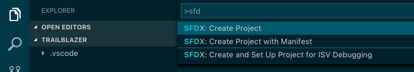 LWC Creating SFDX Project step-8